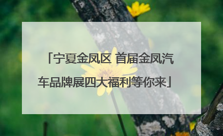 宁夏金凤区 首届金凤汽车品牌展四大福利等你来