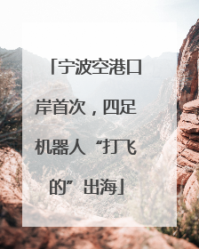 宁波空港口岸首次，四足机器人“打飞的”出海