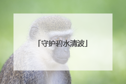 守护碧水清波