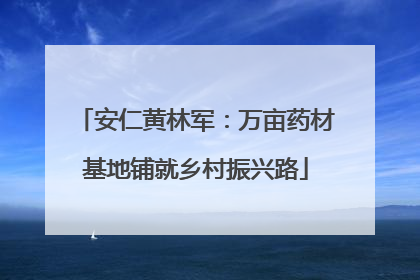 安仁黄林军：万亩药材基地铺就乡村振兴路