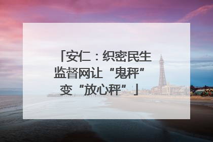 安仁：织密民生监督网让“鬼秤”变“放心秤”