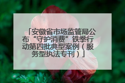 安徽省市场监管局公布“守护消费”铁拳行动第四批典型案例（服务型执法专刊）