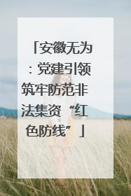 安徽无为：党建引领筑牢防范非法集资“红色防线”