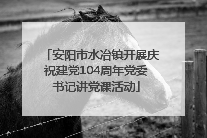 安阳市水冶镇开展庆祝建党104周年党委书记讲党课活动