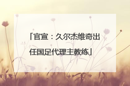 官宣：久尔杰维奇出任国足代理主教练