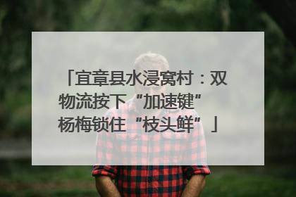 宜章县水浸窝村：双物流按下“加速键” 杨梅锁住“枝头鲜”