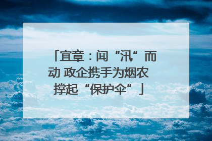 宜章：闻“汛”而动 政企携手为烟农撑起“保护伞”