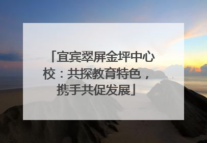 宜宾翠屏金坪中心校：共探教育特色，携手共促发展