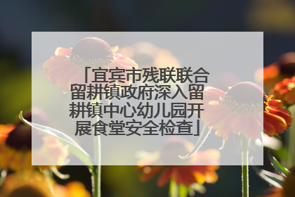 宜宾市残联联合留耕镇政府深入留耕镇中心幼儿园开展食堂安全检查