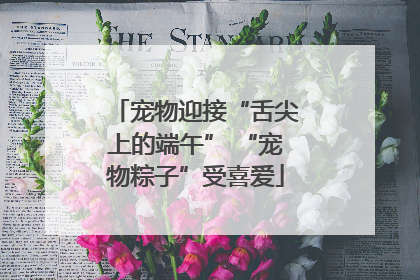 宠物迎接“舌尖上的端午” “宠物粽子”受喜爱