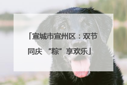 宣城市宣州区：双节同庆 “粽”享欢乐
