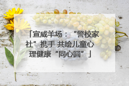 宣威羊场：“警校家社”携手 共绘儿童心理健康“同心圆”