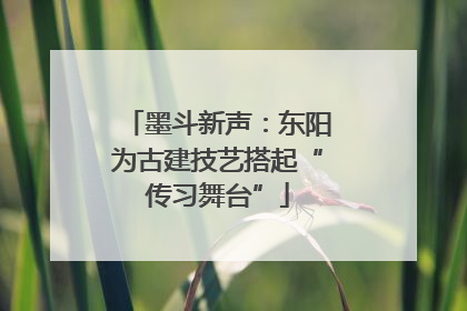 墨斗新声：东阳为古建技艺搭起“传习舞台”