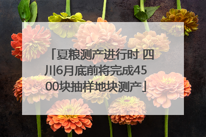 夏粮测产进行时 四川6月底前将完成4500块抽样地块测产