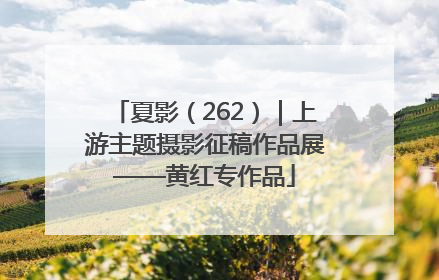 夏影（262）｜上游主题摄影征稿作品展——黄红专作品