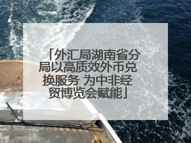 外汇局湖南省分局以高质效外币兑换服务 为中非经贸博览会赋能
