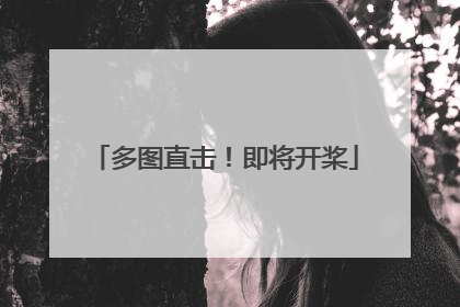 多图直击！即将开桨