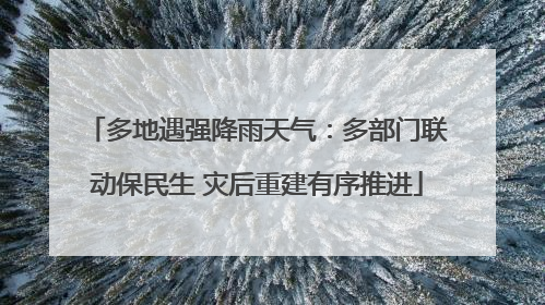 多地遇强降雨天气：多部门联动保民生 灾后重建有序推进