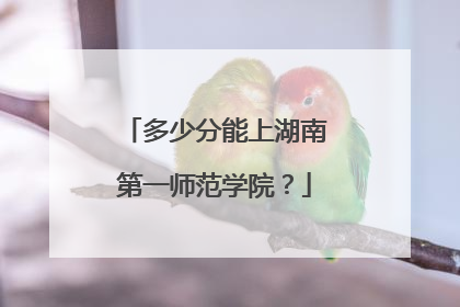 多少分能上湖南第一师范学院？