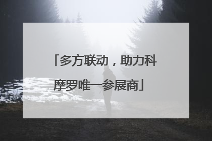 多方联动，助力科摩罗唯一参展商