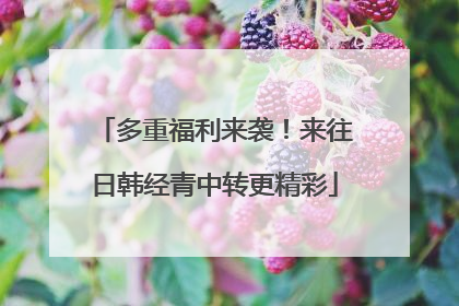 多重福利来袭！来往日韩经青中转更精彩