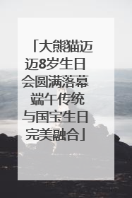 大熊猫迈迈8岁生日会圆满落幕 端午传统与国宝生日完美融合