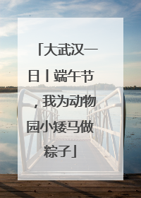 大武汉一日丨端午节，我为动物园小矮马做粽子