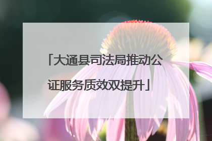 大通县司法局推动公证服务质效双提升