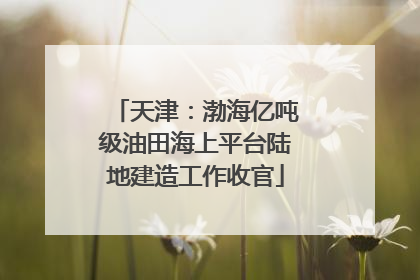 天津：渤海亿吨级油田海上平台陆地建造工作收官