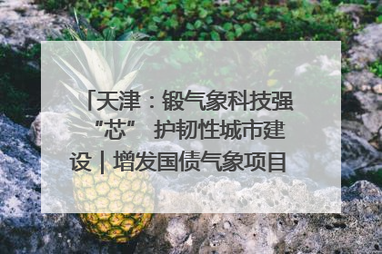 天津：锻气象科技强“芯” 护韧性城市建设｜增发国债气象项目落地见效系列报道