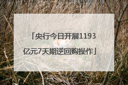 央行今日开展1193亿元7天期逆回购操作