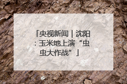 央视新闻｜沈阳：玉米地上演“虫虫大作战”