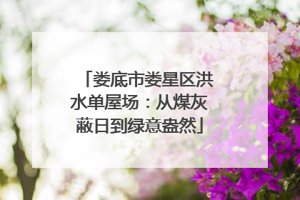 娄底市娄星区洪水单屋场：从煤灰蔽日到绿意盎然