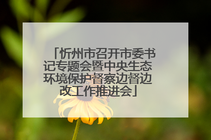忻州市召开市委书记专题会暨中央生态环境保护督察边督边改工作推进会