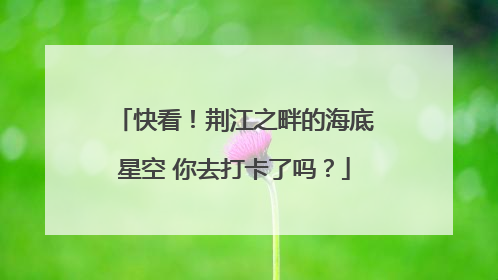 快看！荆江之畔的海底星空 你去打卡了吗？