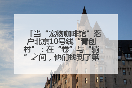 当“宠物咖啡馆”落户北京10号线“青创村”：在“卷”与“躺”之间，他们找到了第三种生活公式