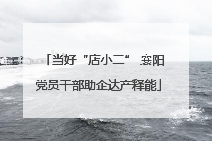 当好“店小二” 襄阳党员干部助企达产释能