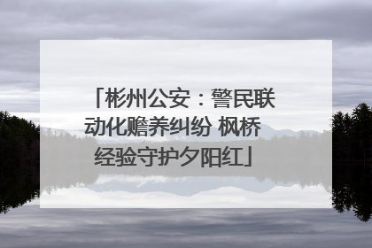 彬州公安：警民联动化赡养纠纷 枫桥经验守护夕阳红