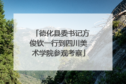 德化县委书记方俊钦一行到四川美术学院参观考察