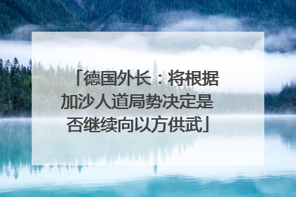 德国外长：将根据加沙人道局势决定是否继续向以方供武
