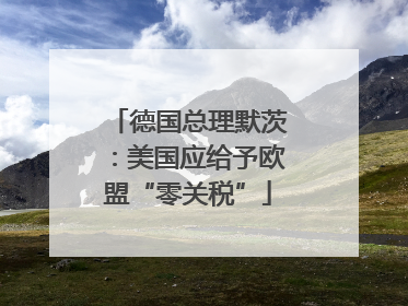 德国总理默茨：美国应给予欧盟“零关税”