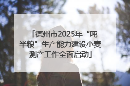 德州市2025年“吨半粮”生产能力建设小麦测产工作全面启动
