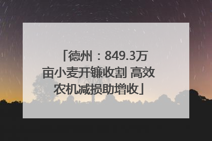 德州：849.3万亩小麦开镰收割 高效农机减损助增收