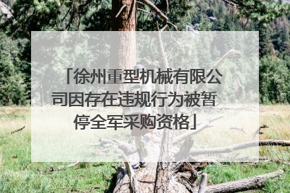 徐州重型机械有限公司因存在违规行为被暂停全军采购资格
