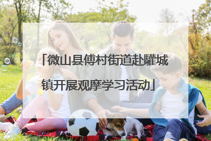 微山县傅村街道赴驩城镇开展观摩学习活动