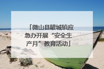 微山县驩城镇应急办开展“安全生产月”教育活动