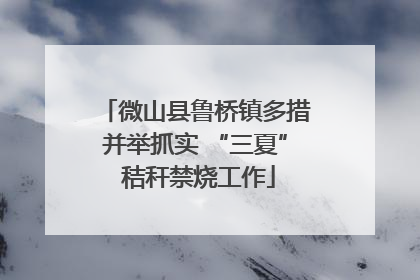 微山县鲁桥镇多措并举抓实 “三夏” 秸秆禁烧工作