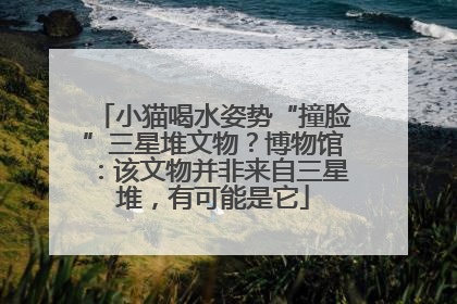 小猫喝水姿势“撞脸”三星堆文物？博物馆：该文物并非来自三星堆，有可能是它