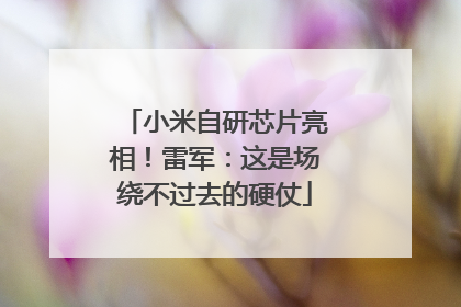 小米自研芯片亮相！雷军：这是场绕不过去的硬仗