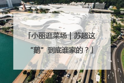 小丽逛菜场｜苏超这“鹅”到底谁家的？